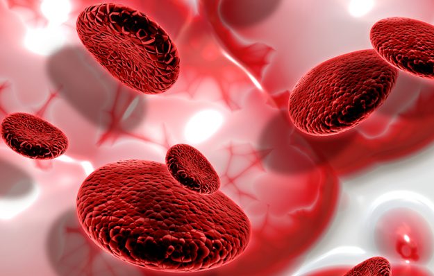 3D blood cells on abstract background